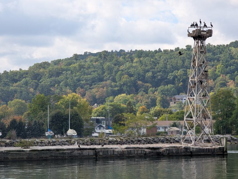 Moving Through Dissonance to Resonance In Your Relationships